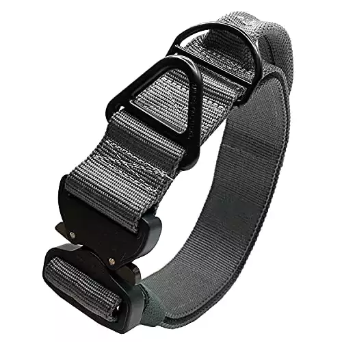 Miles Tactical Cobra Buckle Dog Collar