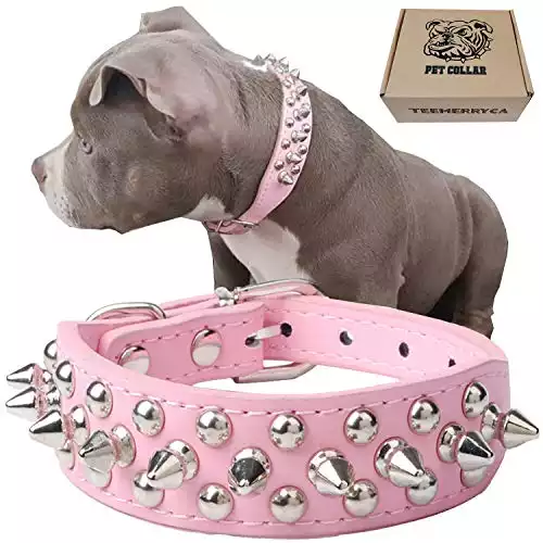 TEEMERRYCA Adjustable Leather Spiked Studded Dog Collar