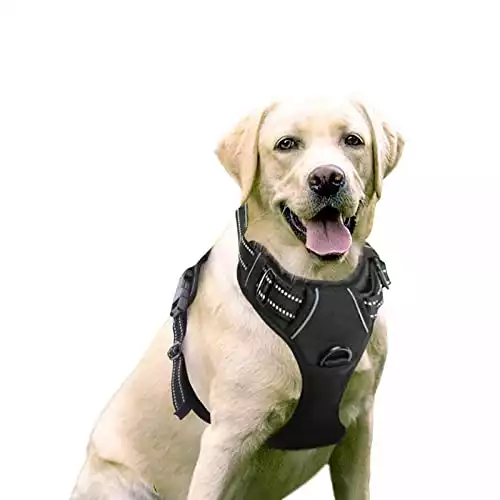 Rabbitgoo Dog Harness No-Choke Pet Oxford Vest