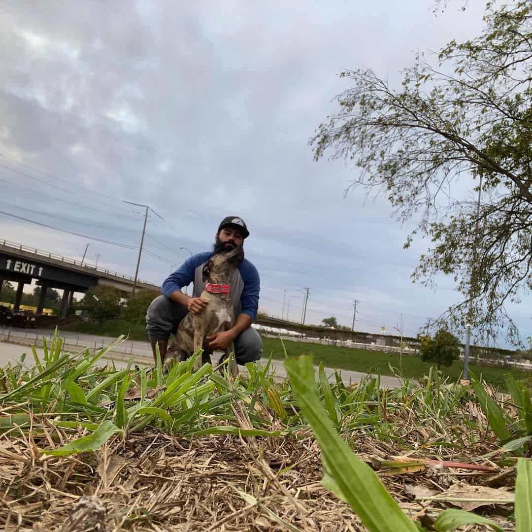 A Catahoula Border Collie Mix sits next to a man