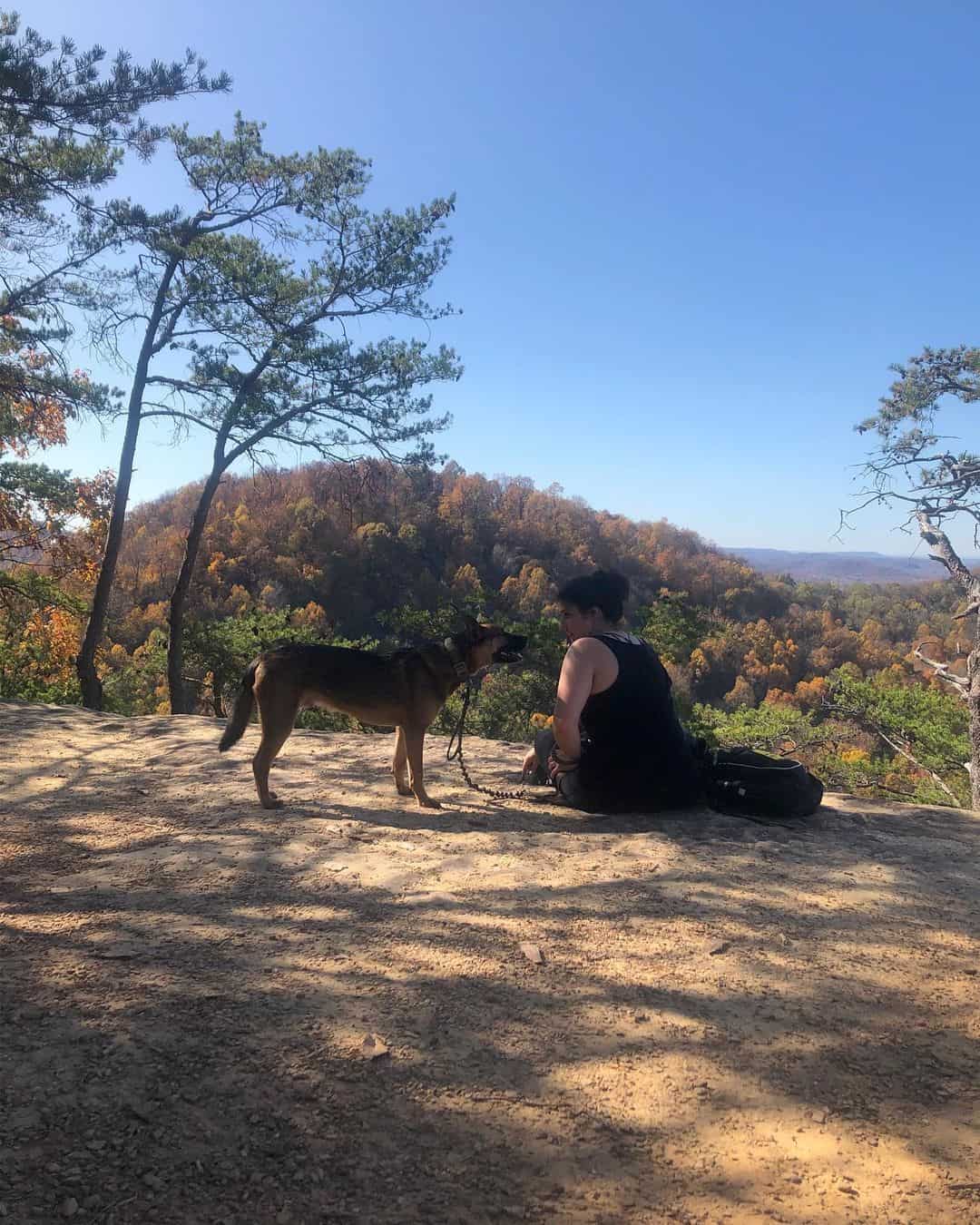 Black Mouth Cur German Shepherd Mix looking at a woman sitting on a rock