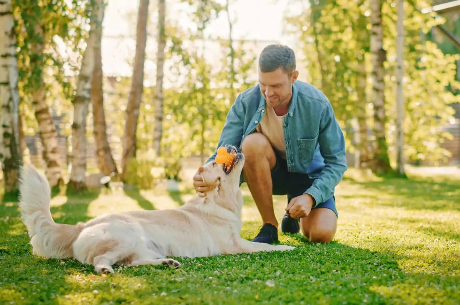 Why does my dog purr? Man playing with his dog