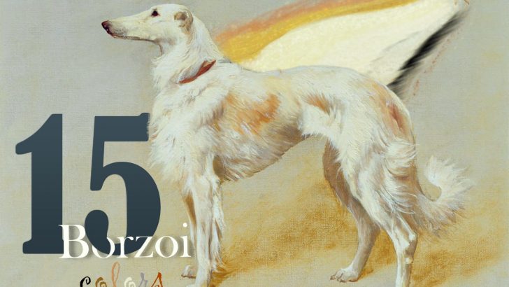 These 15 Borzoi Colors Are The Next In Fashion