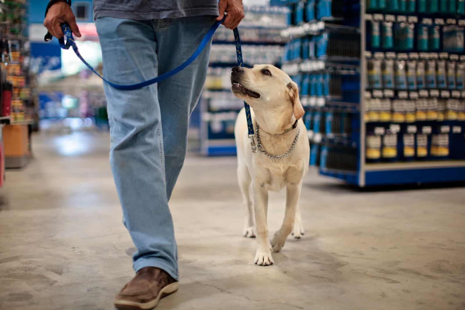 man walking his dog on a leash in store