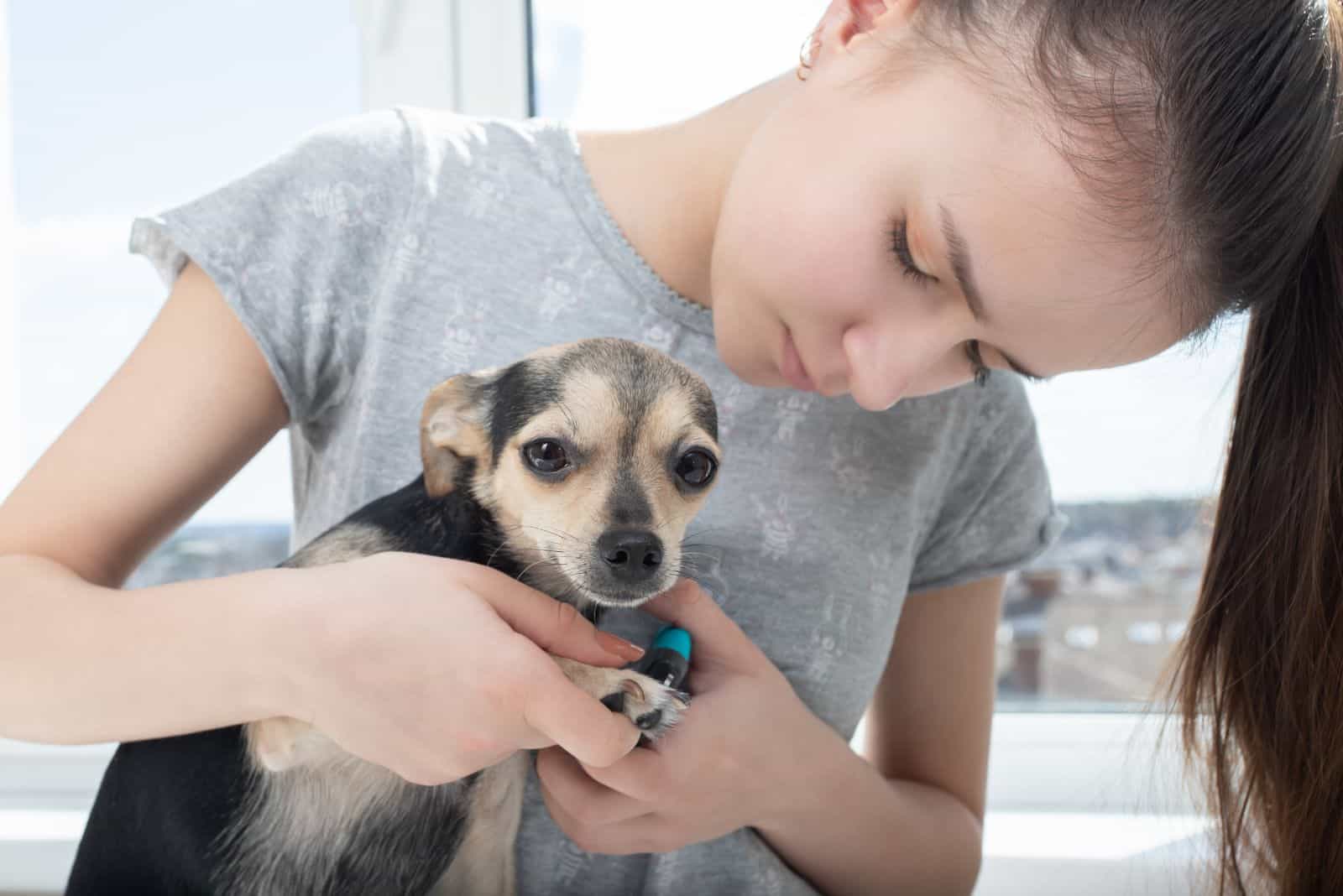 the woman examines the dog's paw