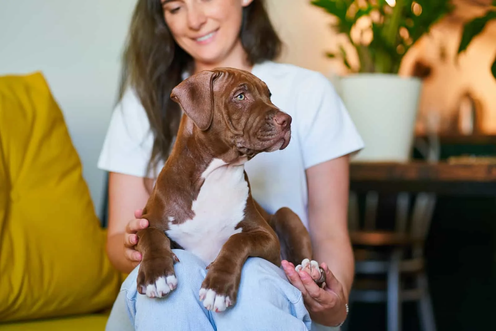 woman holding a pitbull puppy