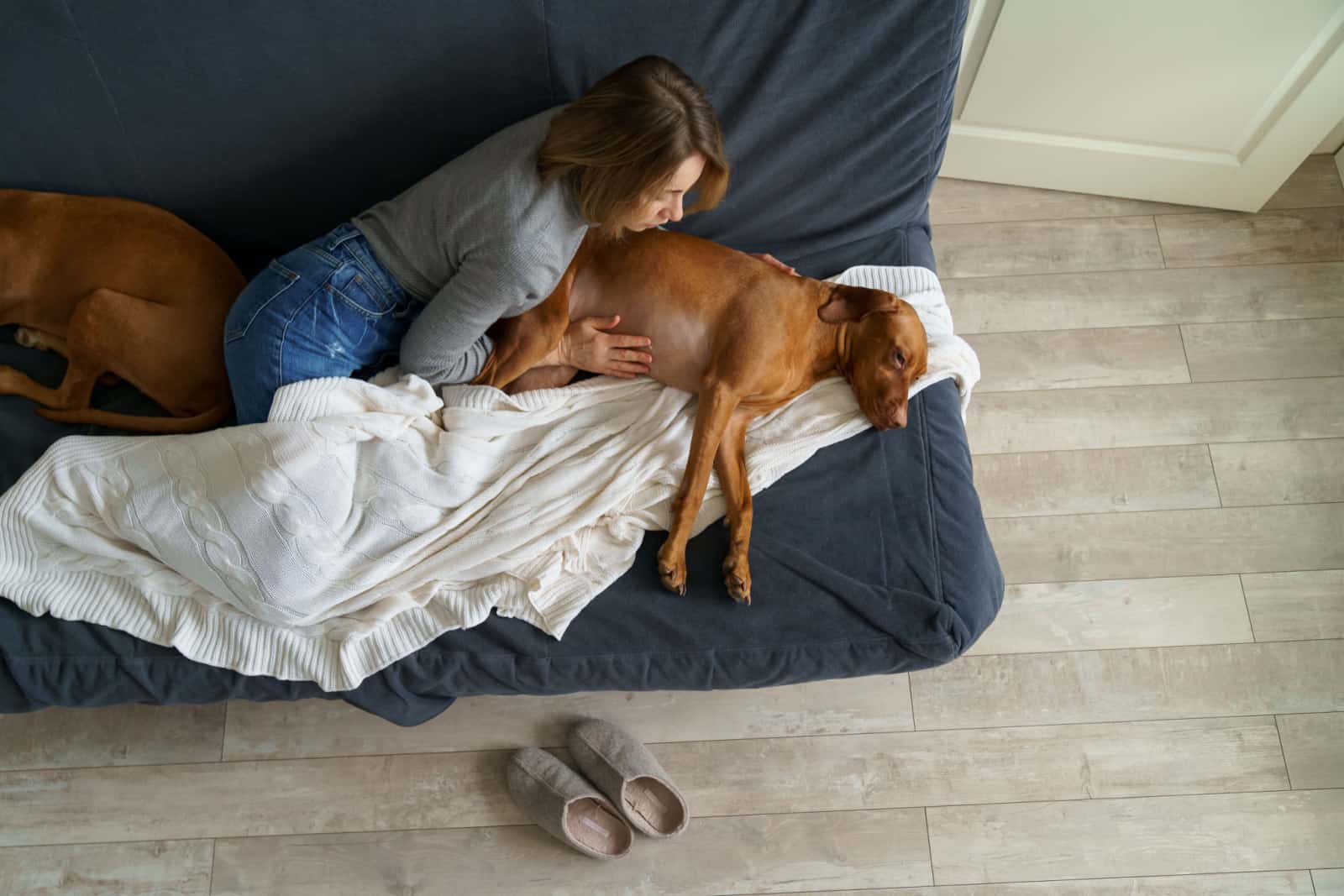 woman touching a dog with abdominal pain