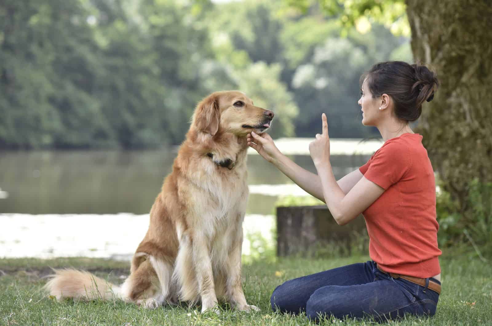 woman training her dog in park