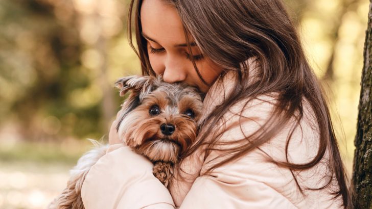 15 Best Treats For Yorkies They Won’t Be Able To Resist