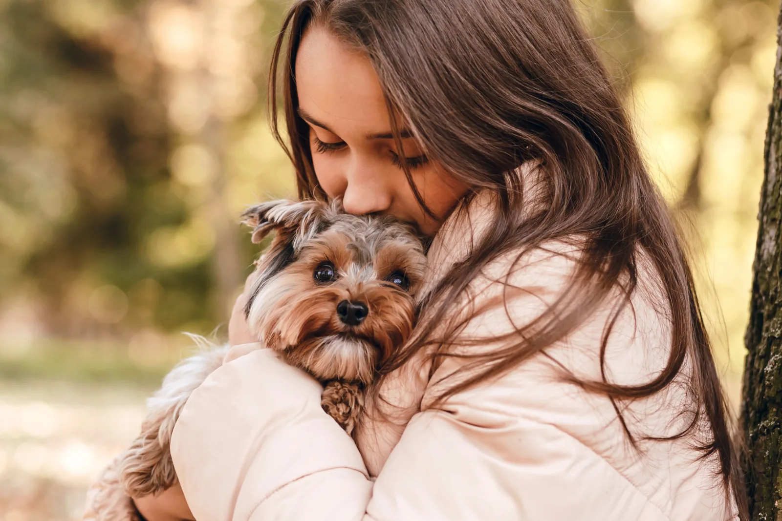 girl holding a yorkie pet