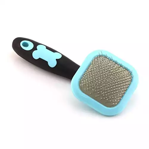 Best brush for clearance a chihuahua