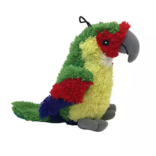 Multipet Look Who's Talking Parrot Talking Dog Toy