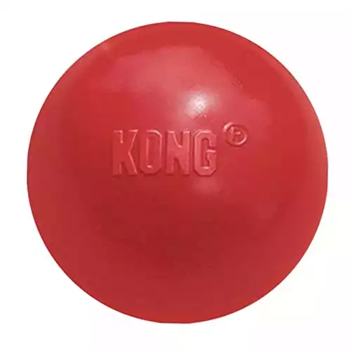 KONG - Ball with Hole - Durable Rubber, Fetch Toy