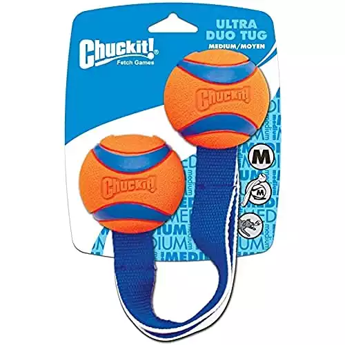 Chuckit Ultra Duo Tug Dog Toy