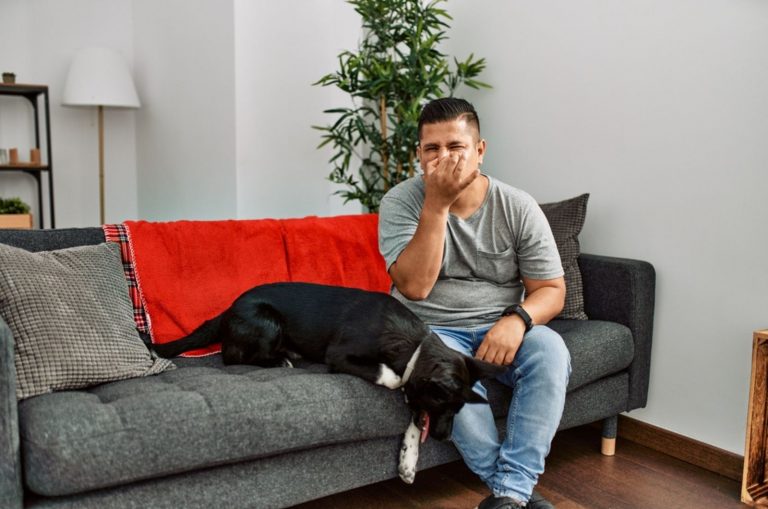 man and dog sitting on the sofa at home smelling something stinky