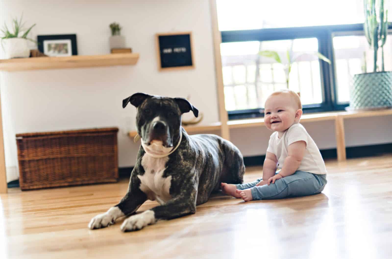 Are Pitbulls Good With Kids? This Article Is One Big Answer