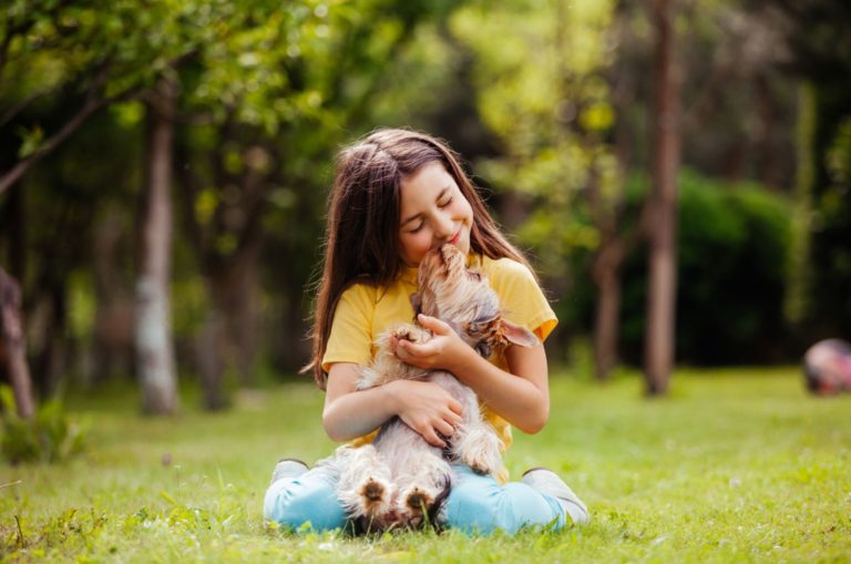 a little girl playing with yorkshire terrier dog