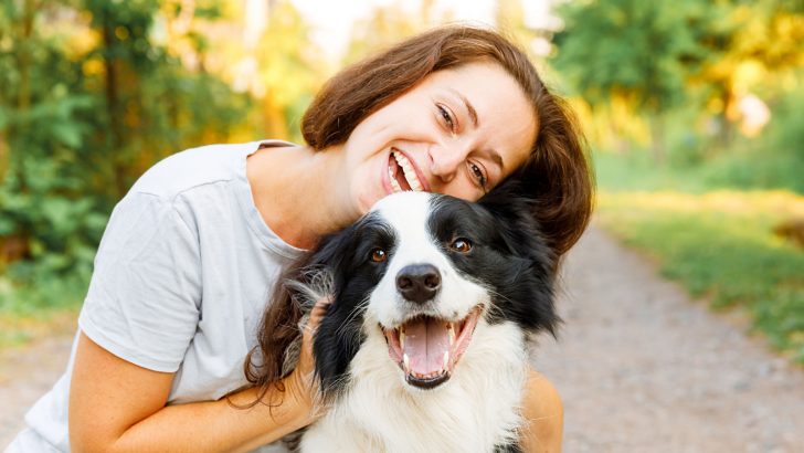 The Top 17 Border Collie Breeders in The United States
