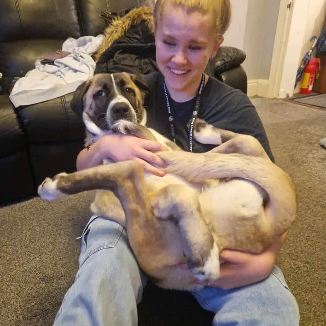 a smiling girl holds a kangal in her arms