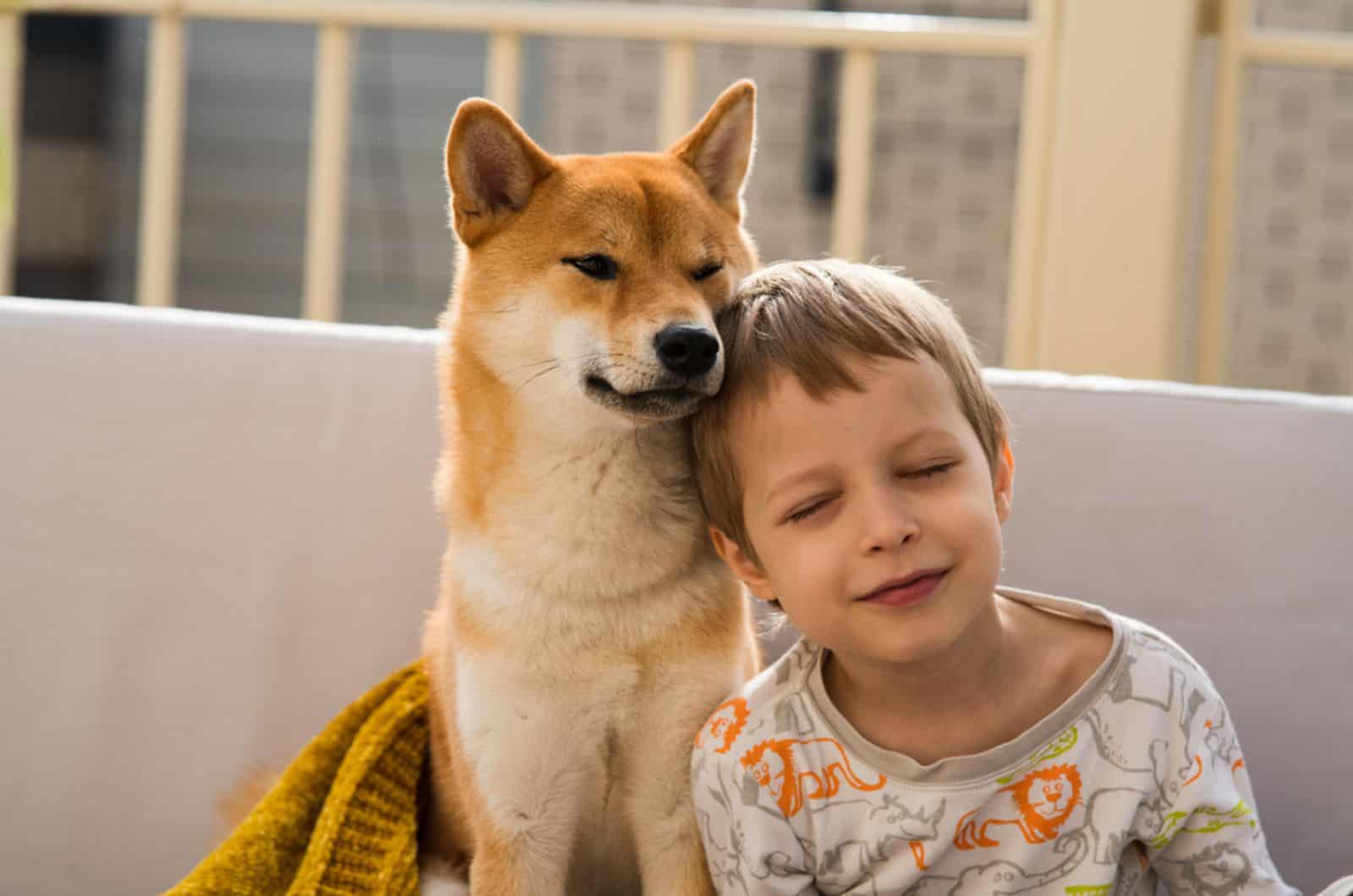 boy and shiba inu dog  cuddling
