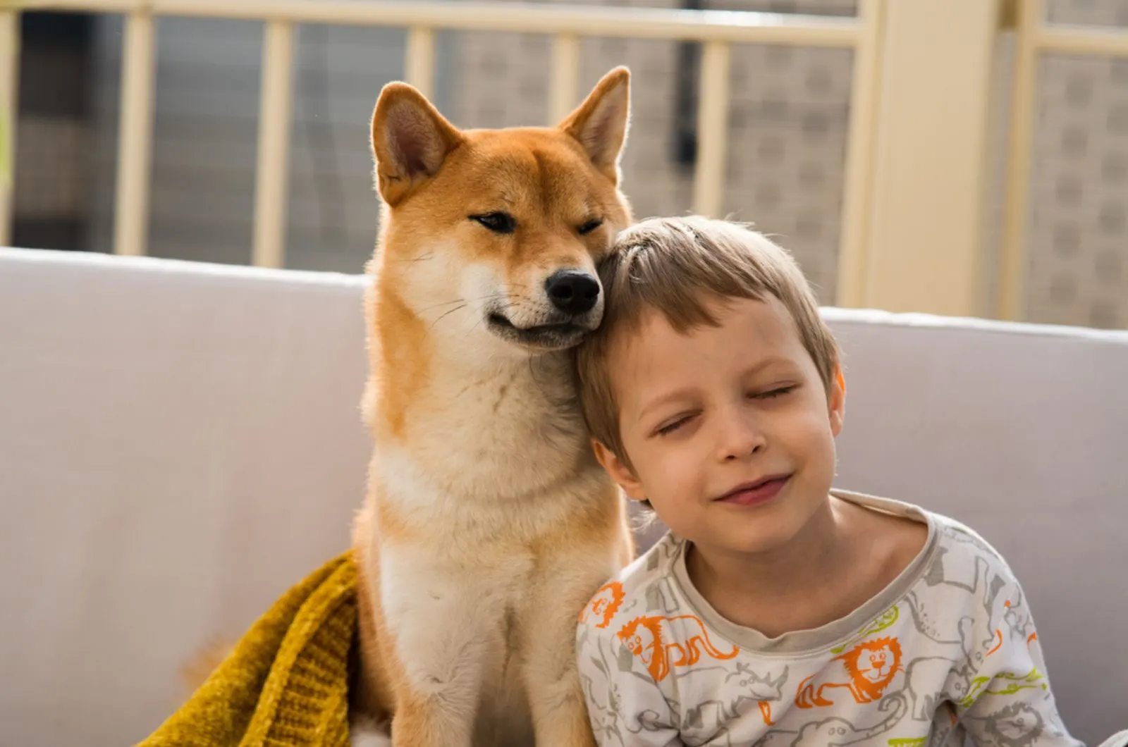 boy and shiba inu dog cuddling