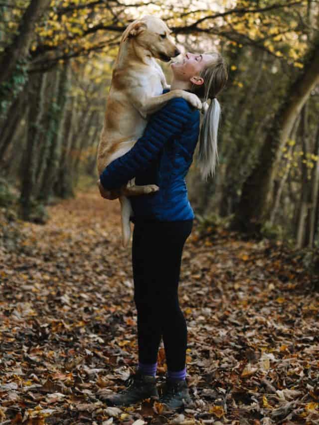 Why Does My Dog Stand On Me 7 Possible Reasons PupVine