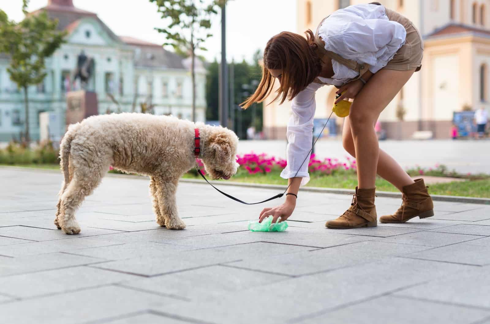 woman picking up dog poop