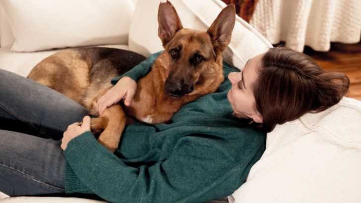 17 German Shepherd Signs Of Affection: How A GSD Shows Love