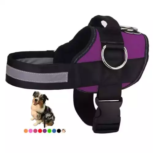 Joyride Adjustable Harness For Small, Medium, Large Dogs