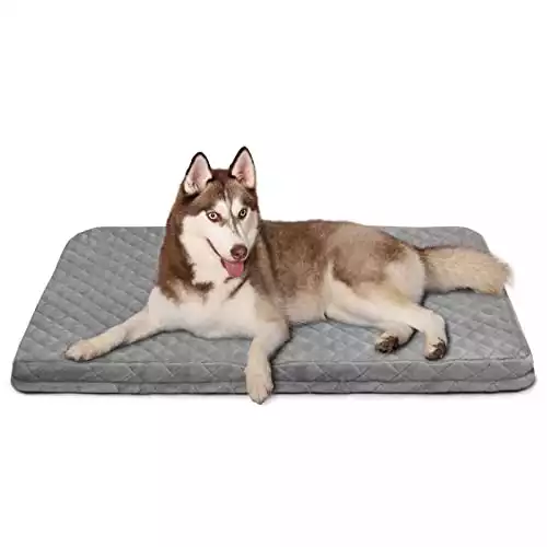 Hero Orthopedic Dog Bed For Rest