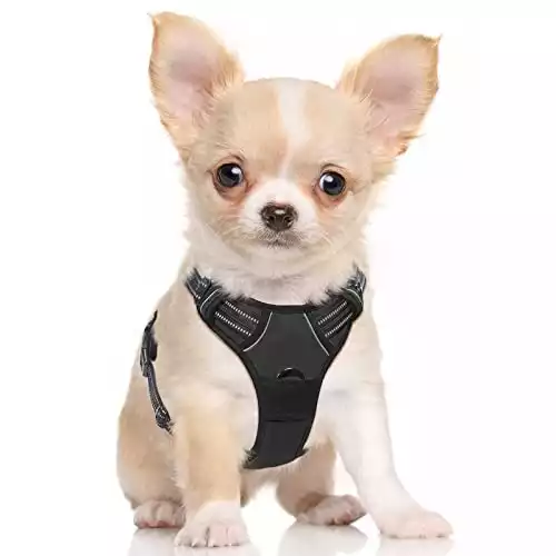 Rabbitgoo Dog Harness, No-Pull Pet Harness