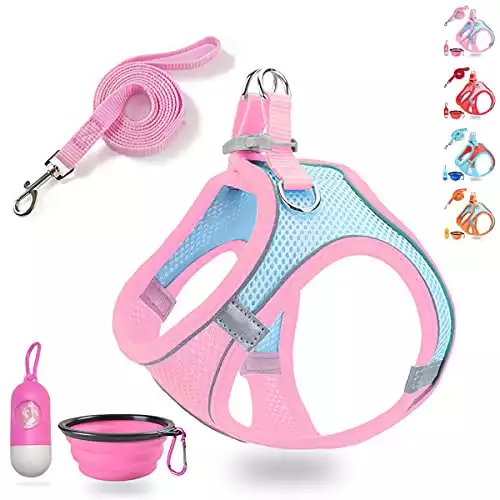 LMOBXEVL Small Dog Vest Harness And Leash Set For Walking Escape Proof
