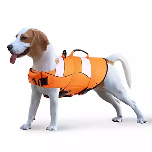 Phyxin Dog Life Jacket