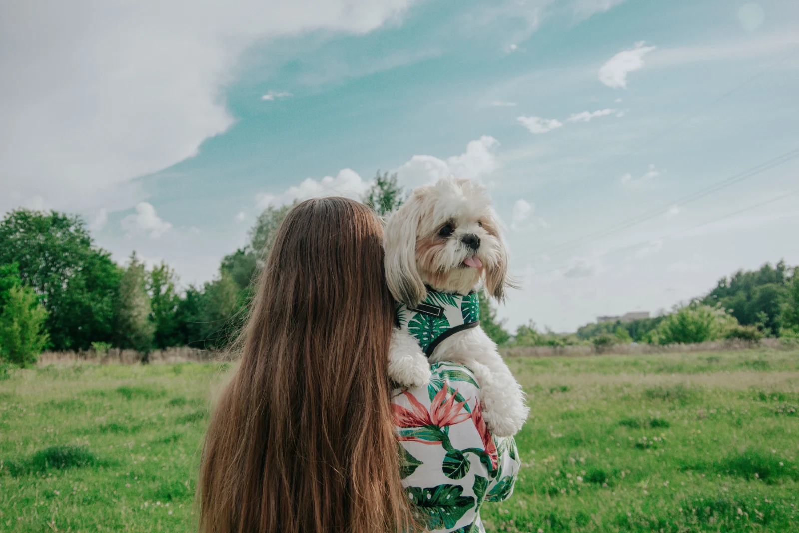 A girl with long hair carrying little dog shih tzu in her arms