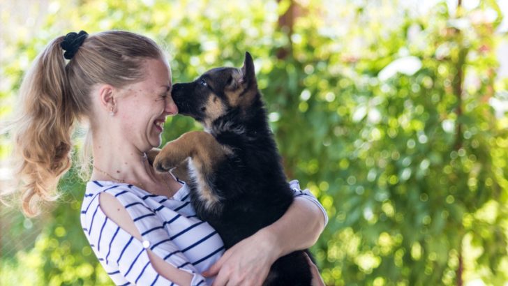 Are German Shepherds Good For First Time Owners Or Not?