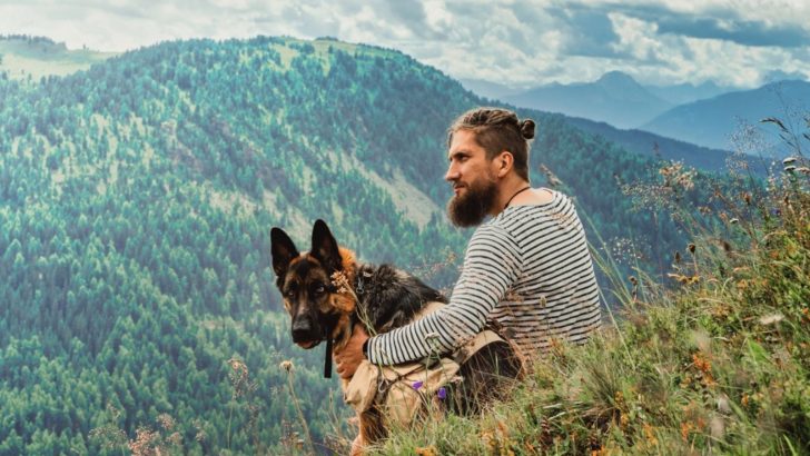 Are German Shepherds Good Hiking Dogs? 7 Trailblazing Tricks