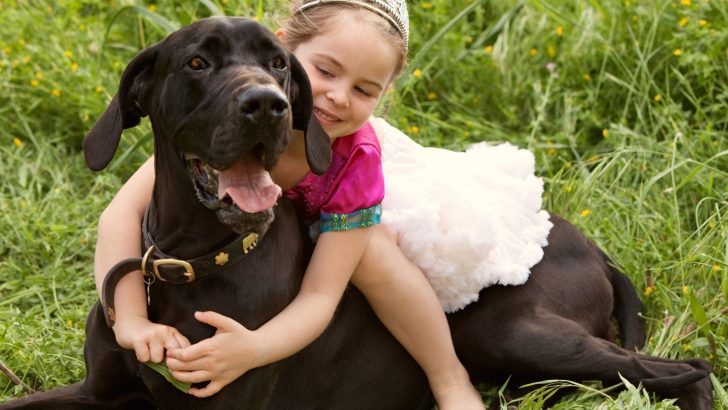 Are Great Danes Good With Kids? A Guide For Families