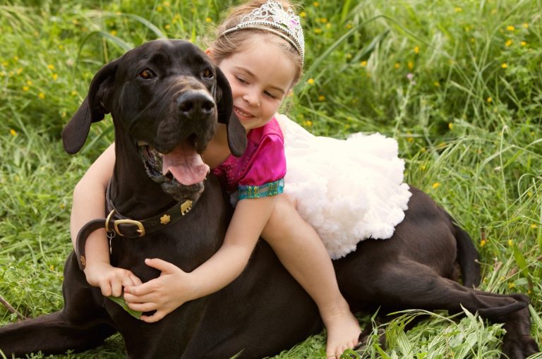 little girl hugging big dog
