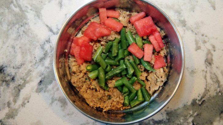 Are Green Beans Good For Dogs? Is This Veggie Approved For Dogs?
