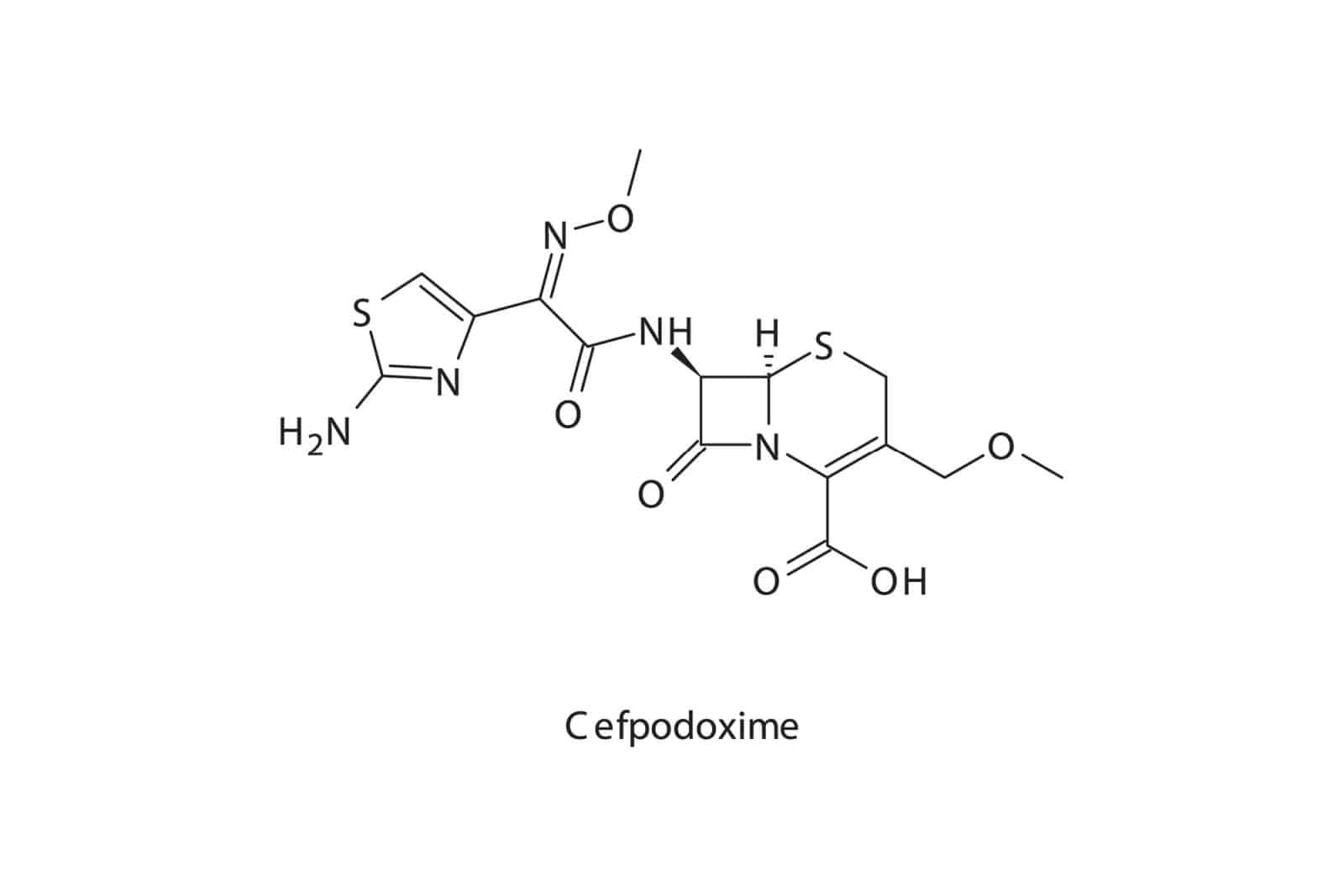 Cefpodoxime flat skeletal molecular structure