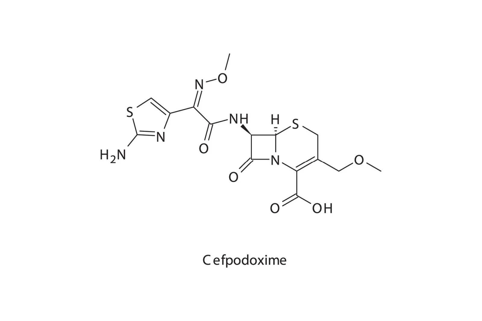 Cefpodoxime flat skeletal molecular structure
