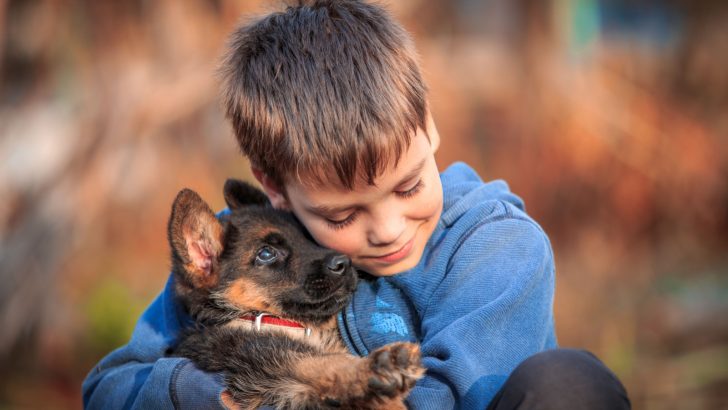German Shepherd Adoption Vs. Breeding: Which Is Better?