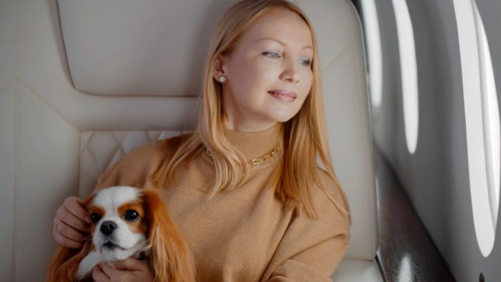 How To Keep A Dog Calm On A Plane? 11 Advice On Pet Travel