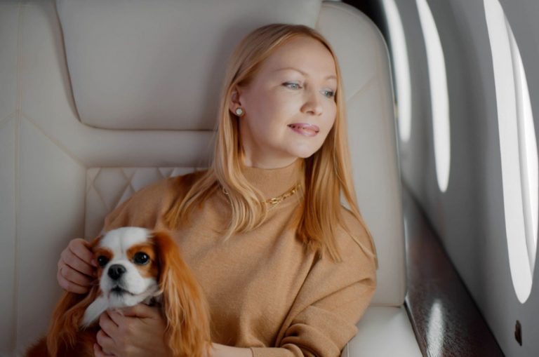 dog in a plain with his owner