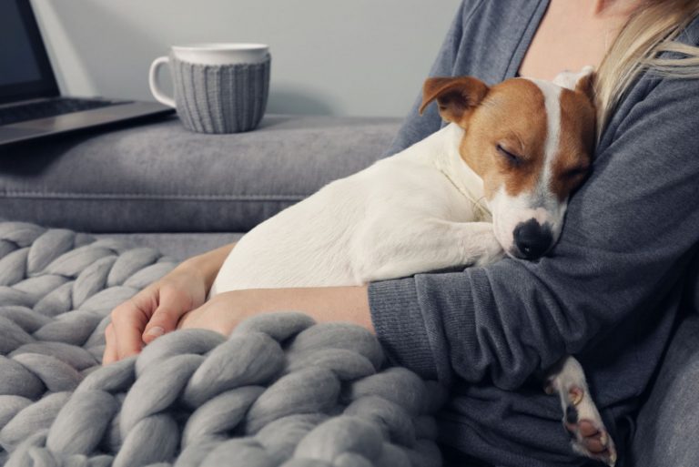 the dog sleeps in the woman's arms
