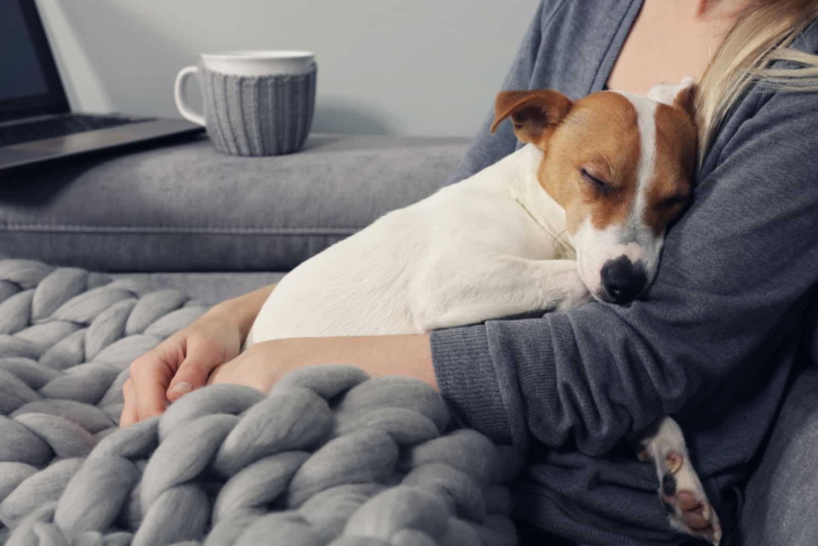 the dog sleeps in the woman's arms