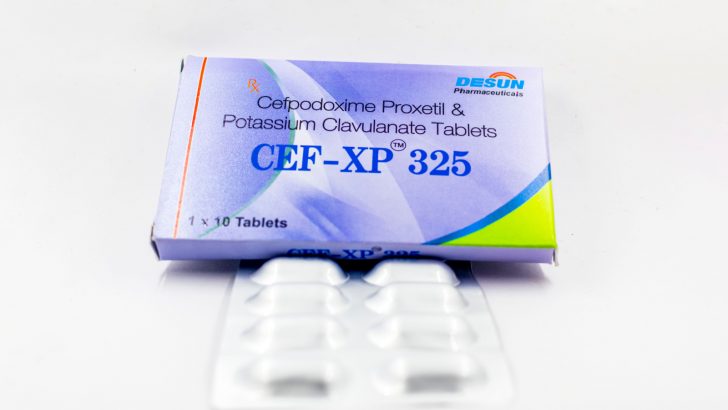 Uses Of Cefpodoxime For Dogs, Side Effects, And Much More