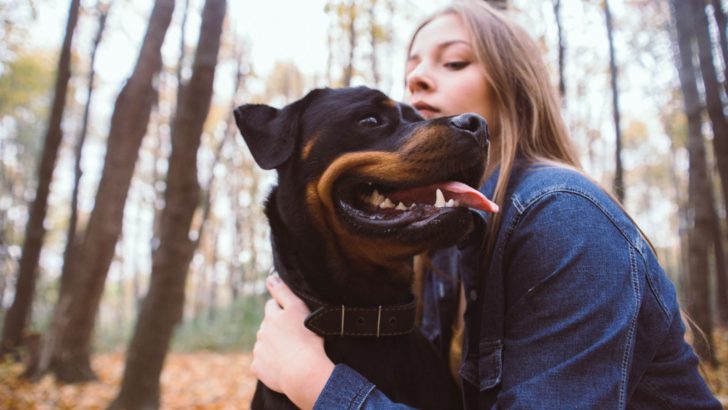 Why Do Rottweilers Fart So Much? 8 Answers And 4 Solutions