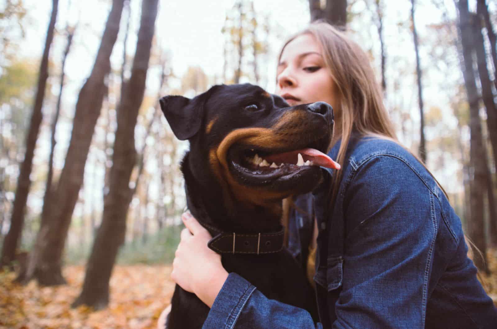 rottweiler with his owner in the park