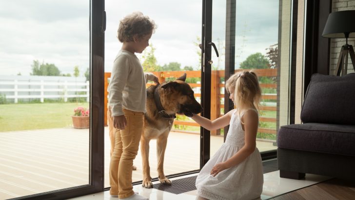 Will A German Shepherd Attack A Child? Things You Can Do To Prevent It
